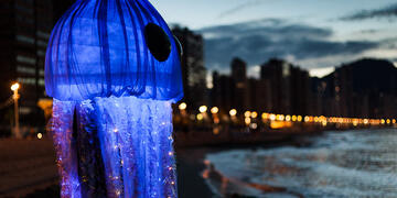 Foto im Vollbild