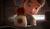 Hintergrund