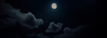 Foto im Vollbild