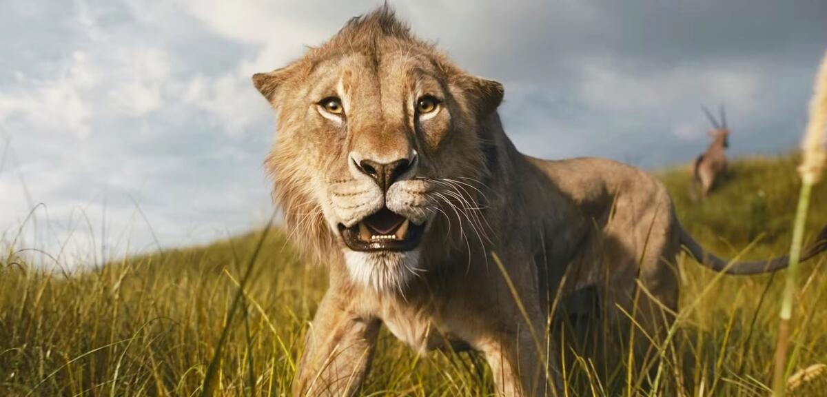 Mufasa ja, Aristocats nein.