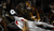 Hintergrund