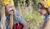 Hintergrund