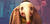 blurry background