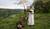 Hintergrund