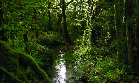 Galerie Foto