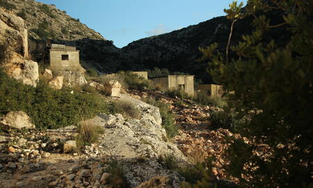 Galerie Foto