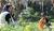 Hintergrund