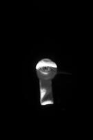 Foto im Vollbild
