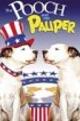 Der Prinz und der Bettelhund