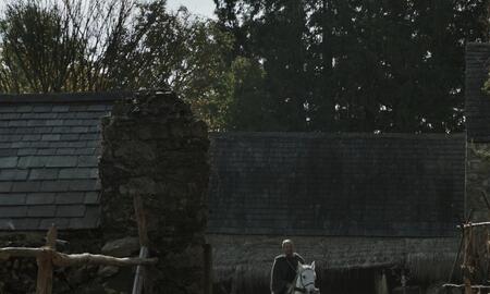 Galerie Foto