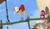 Hintergrund
