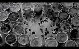 Foto im Vollbild