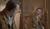 Hintergrund