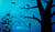 Hintergrund