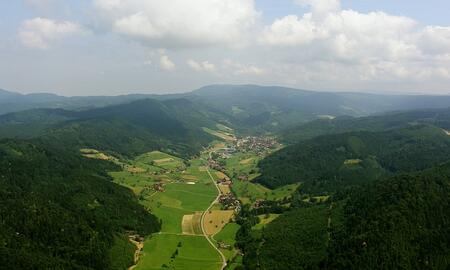 Galerie Foto