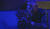 Hintergrund