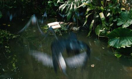 Galerie Foto