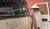 Hintergrund