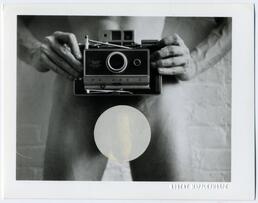 Foto im Vollbild