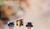Hintergrund