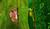 Hintergrund