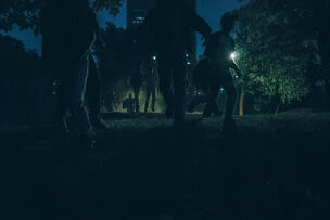 Foto im Vollbild