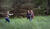 Hintergrund