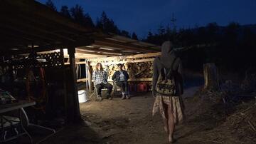 Foto im Vollbild