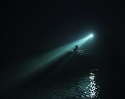Foto im Vollbild