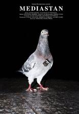 Mediastan