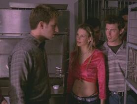 Altered Species