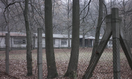 Galerie Foto