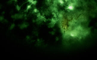 Foto im Vollbild