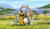 Hintergrund