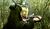 Hintergrund