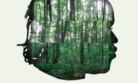 Galerie Foto