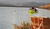 Hintergrund