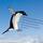 ThePinguin