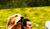 Hintergrund