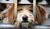 Hintergrund