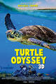 Turtle Odyssey