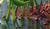 Hintergrund