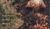 Hintergrund