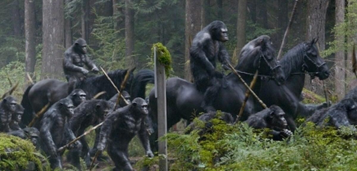 Affen reiten auf Pferden - beängstigend.