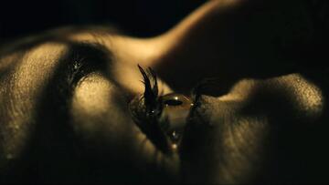 Foto im Vollbild