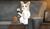 Hintergrund