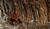 Hintergrund