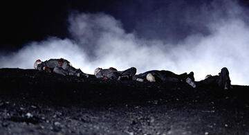 Foto im Vollbild