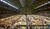 Hintergrund