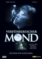 Foto im Vollbild